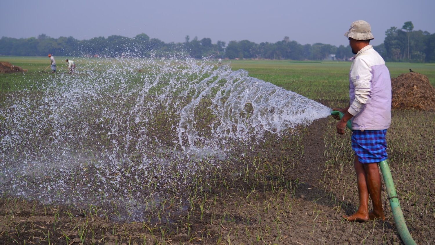 A man is spraying water on a field